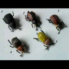 Суха мушка Beetle
