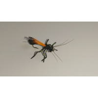 Wasp Pelopei
